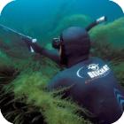 Ограничения и запреты на подводную охоту